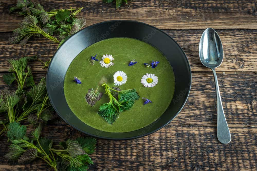 Nettles soup foraging in Marblehill Ireland